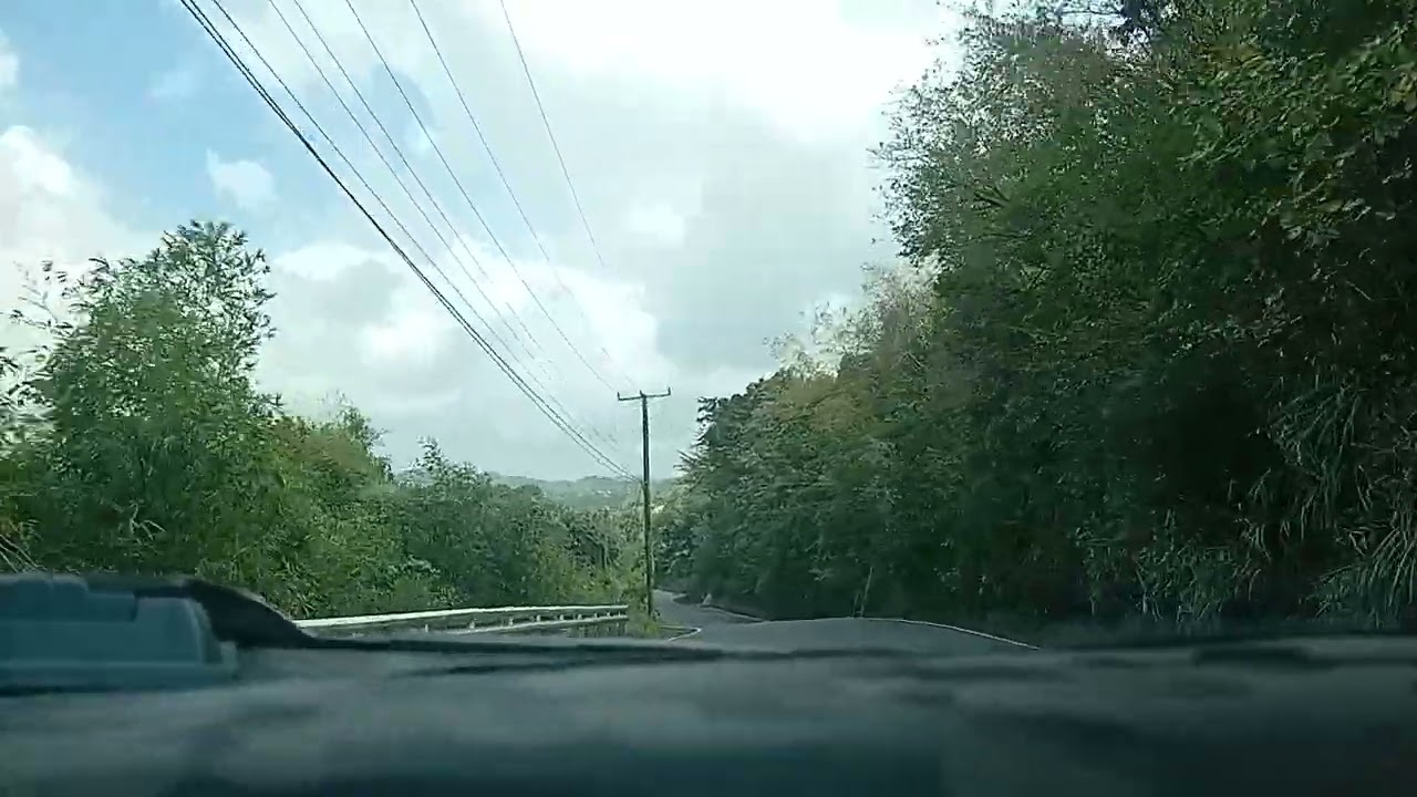 Driving on the east coast of st lucia with lucían vibes tv #loop #feedshorts 