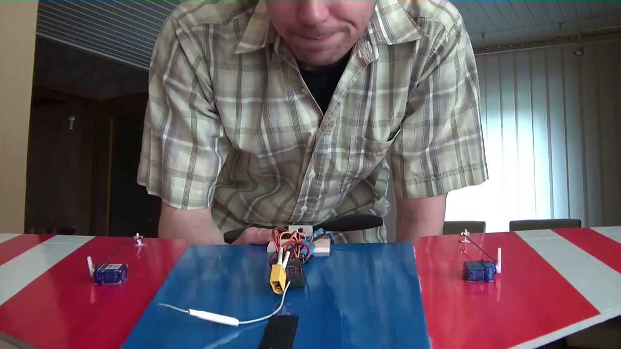 RC Delta wing Demo zu