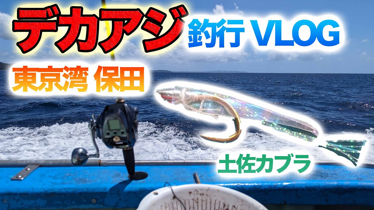 東京湾でデカアジを釣りたい