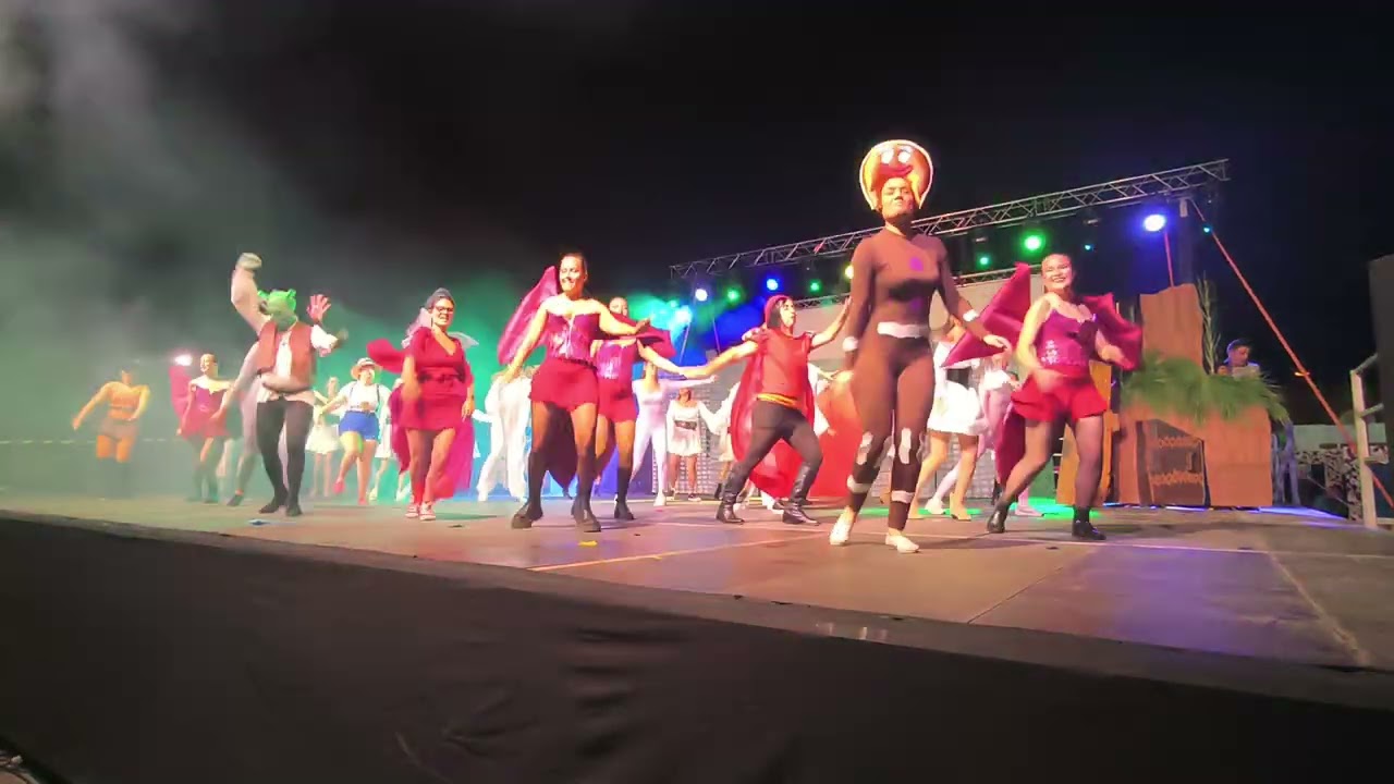 Playback 2026 Falla La Palmera 