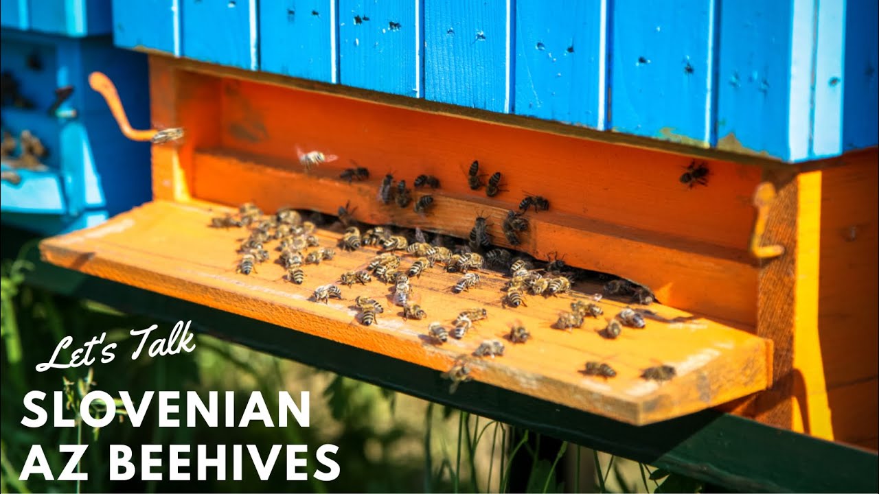Let's Talk Slovenian AZ Beehives