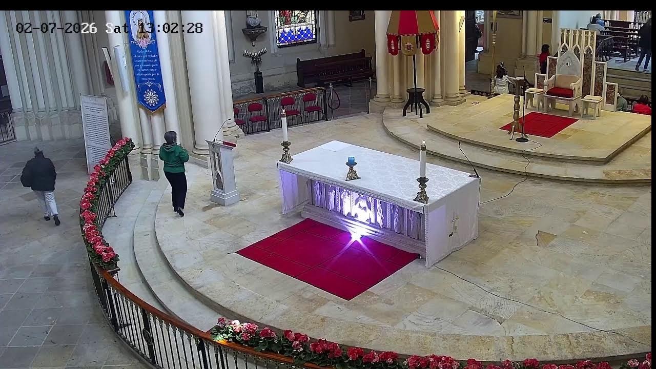 Transmisión Eucaristía Basílica de Lourdes   2026