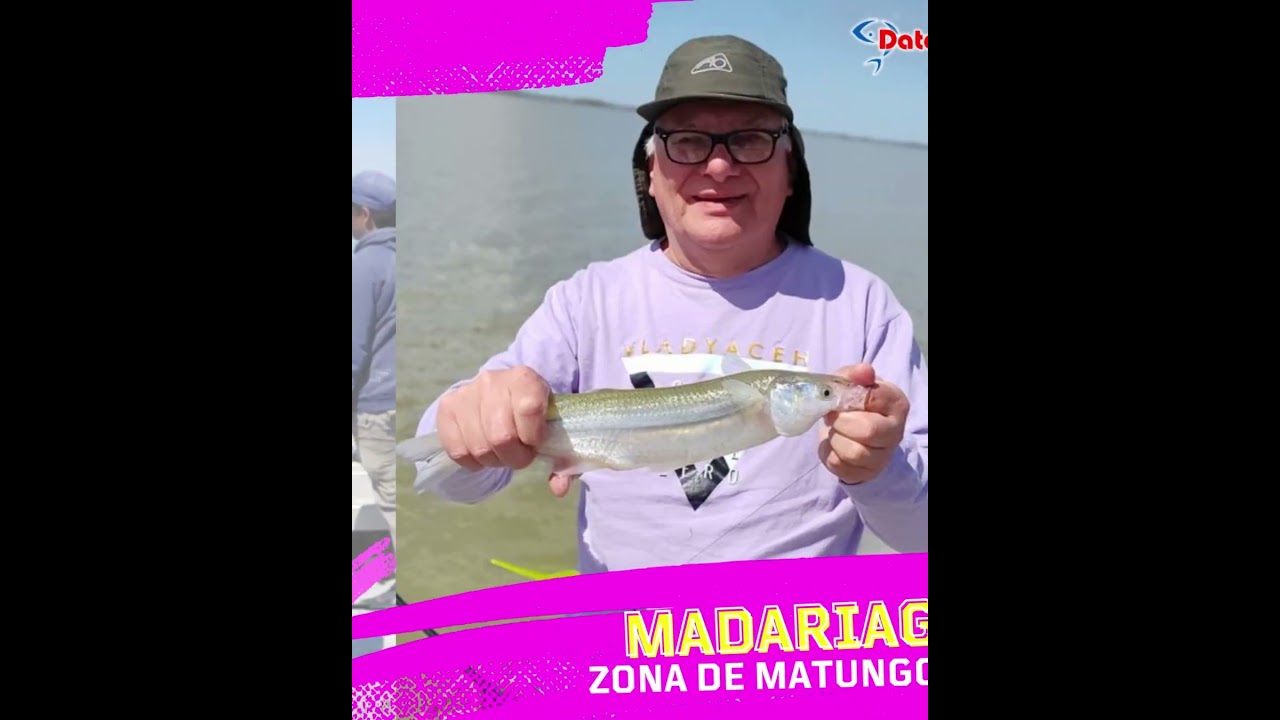 Madariaga, zona de matungos #matungos #pescadora #pejerreyes2023 #pesca