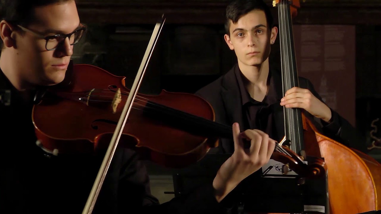 G. P. Telemann | Viola Concerto in G major - Leonardo Taio