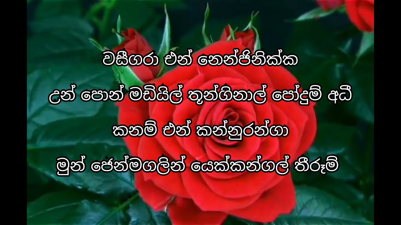 Vaseegara song lyrics in sinhala/ වසීගරා/full song