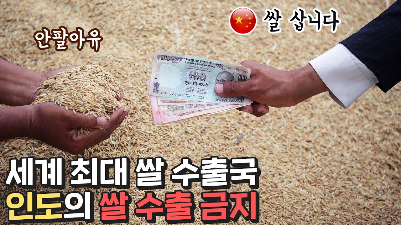 이제 중국은 어디서 쌀을 사나...