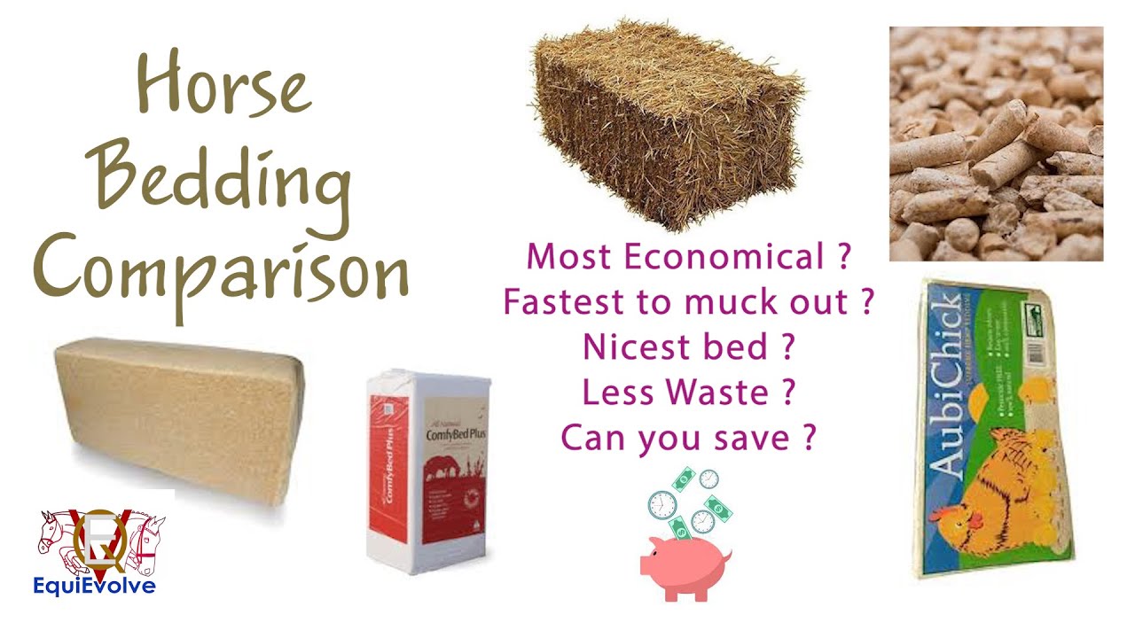 Horse Bedding Comparison