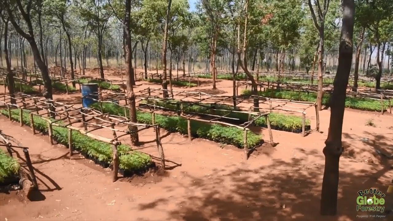 Better Globe Virtual Trip to Kenya - 2020