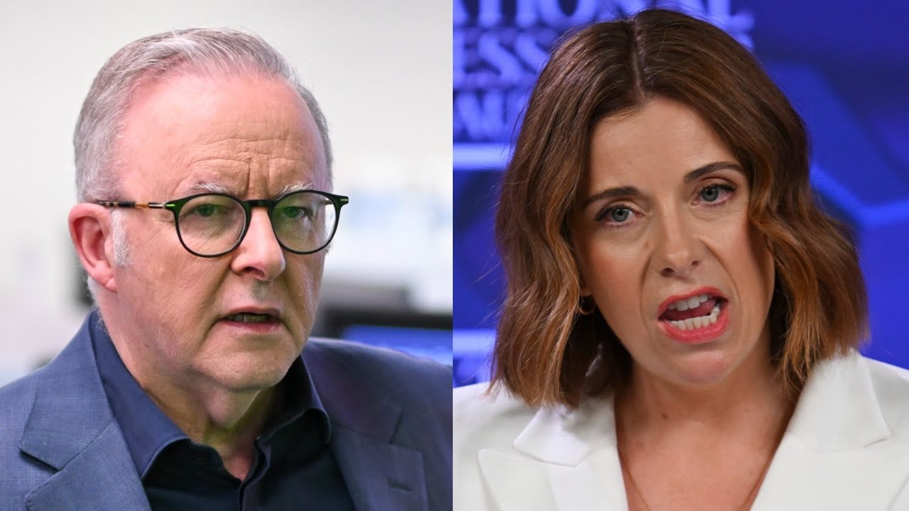‘She’ll survive’: Albanese won’t ask Wells to step down despite expenses scandal