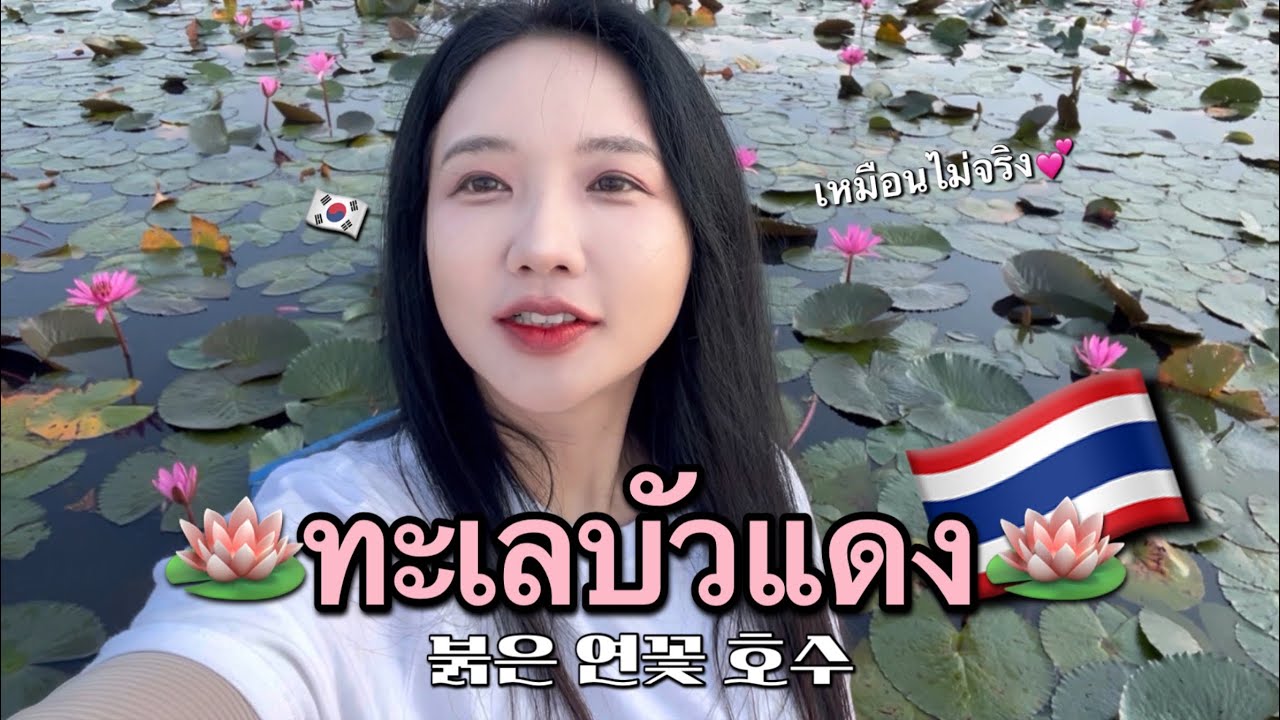 Lisa 사진 한 장에 떠난 우돈타니💕ทะเลบัวแดง เหมือนไม่จริง🪷 Udonthani vlog🇹🇭