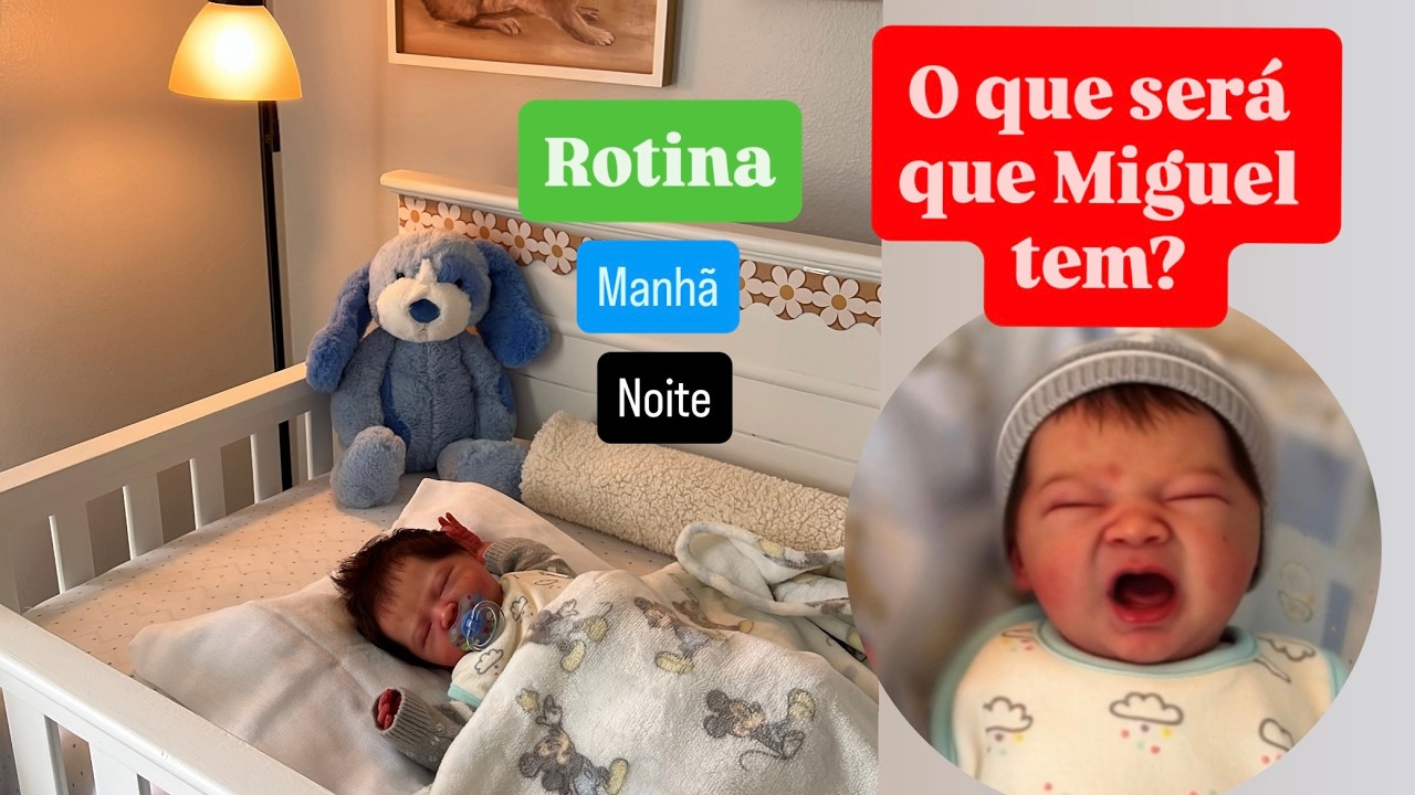 ROTINA O QUE SERA QUE ACONTECEU COM MIGUEL?