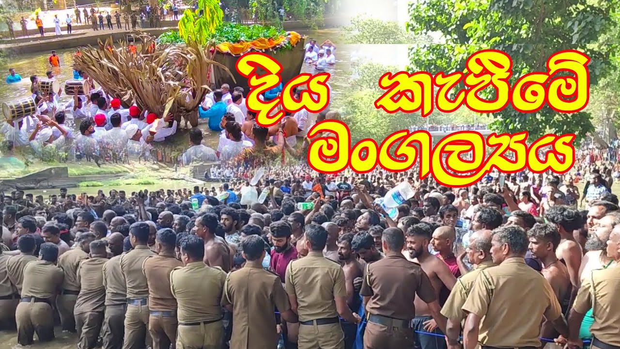 ඇසළ පෙරහැර මංගළයේ දිය කැපීමේ චාරිත්‍රය #esalaperahera2025 #kataragamaperahera #watercutting