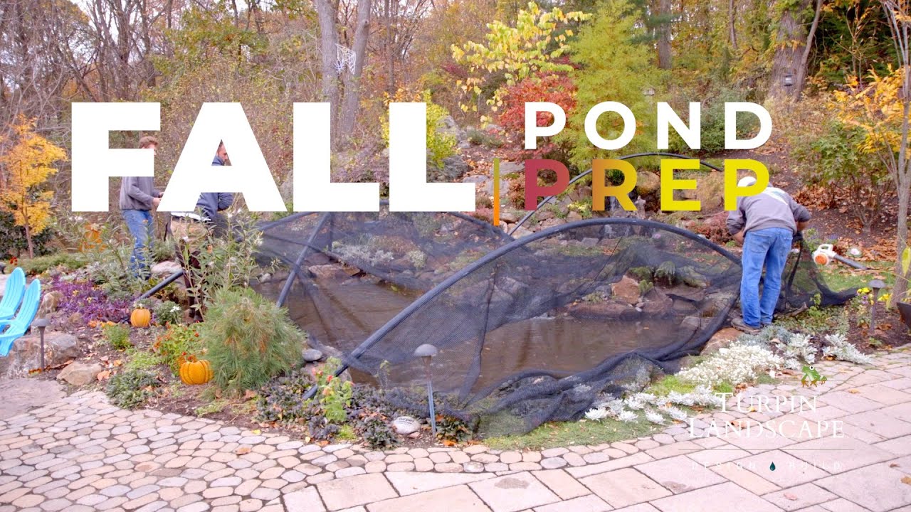 Fall Pond Prep
