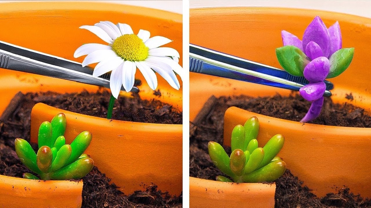 Secret Gardening Hacks for Beginners: Grow Your Green Thumb