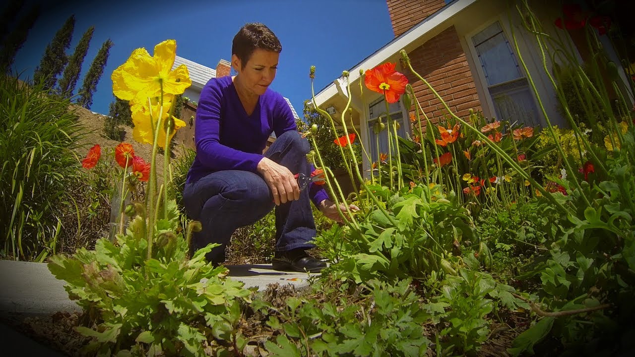 Unique Program Helps Woman Navigate Cancer Treatment