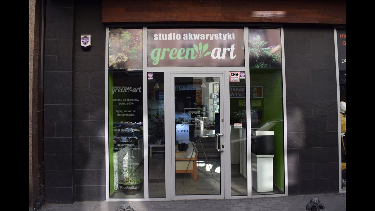 Wspieramy przedsiębiorc&oacute;w - Green Art Sosnowiec