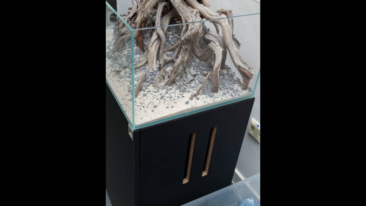 Ukaps aquascaping experience 2016