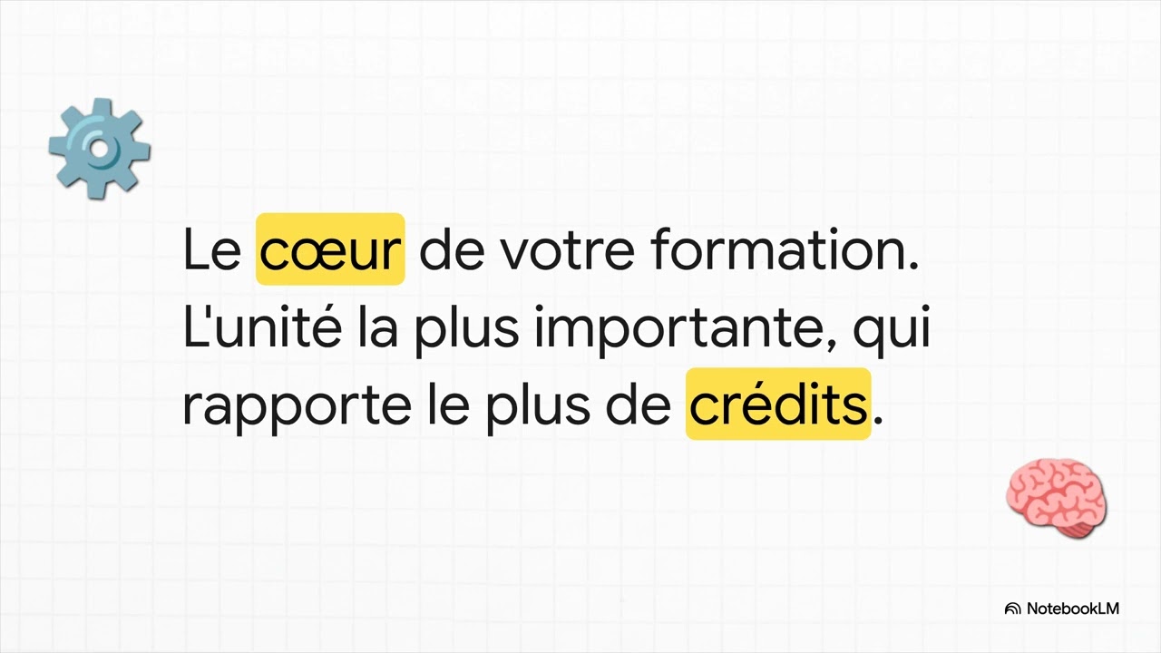 Guide de 1ère Année SNV