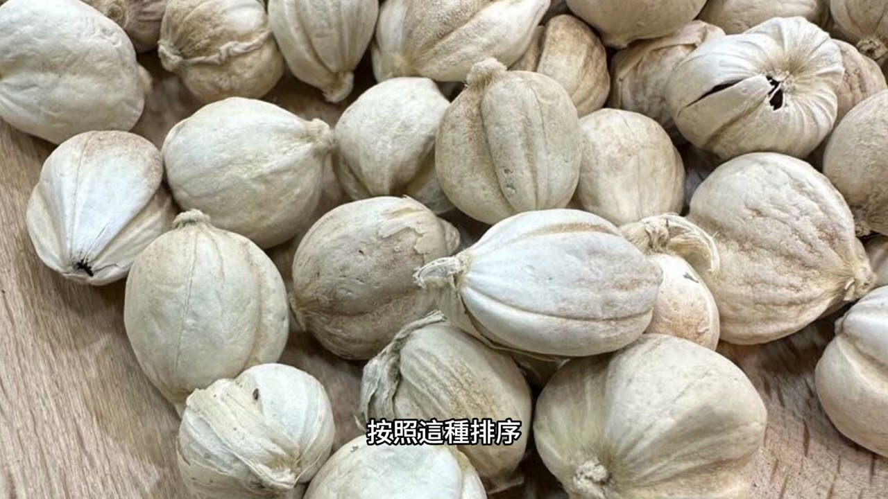 中藥：127：化濕藥：白豆蔻、砂仁、草豆蔻、草果