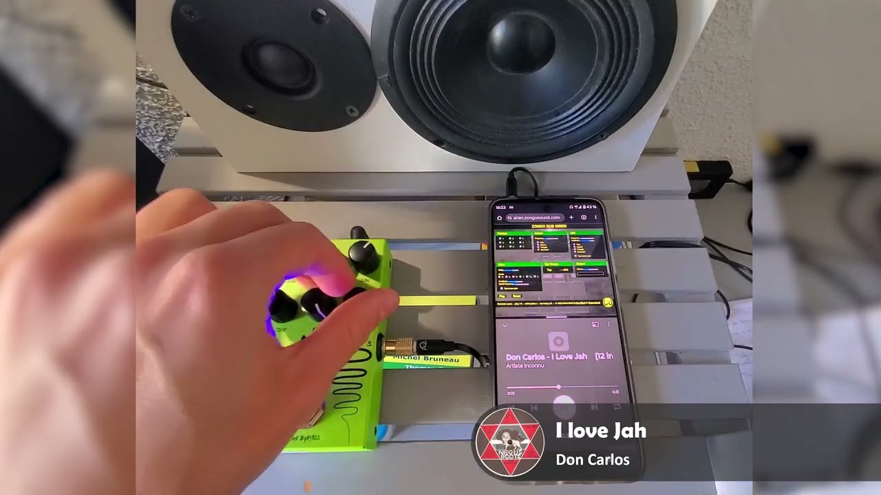 Reggae roots session on a delay pedal