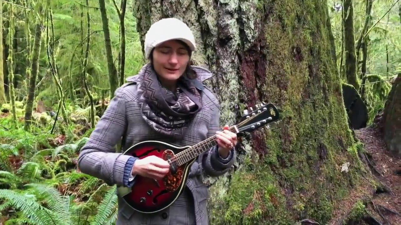 REENIE - How Easily We Fall [LIVE in Cathedral Grove]