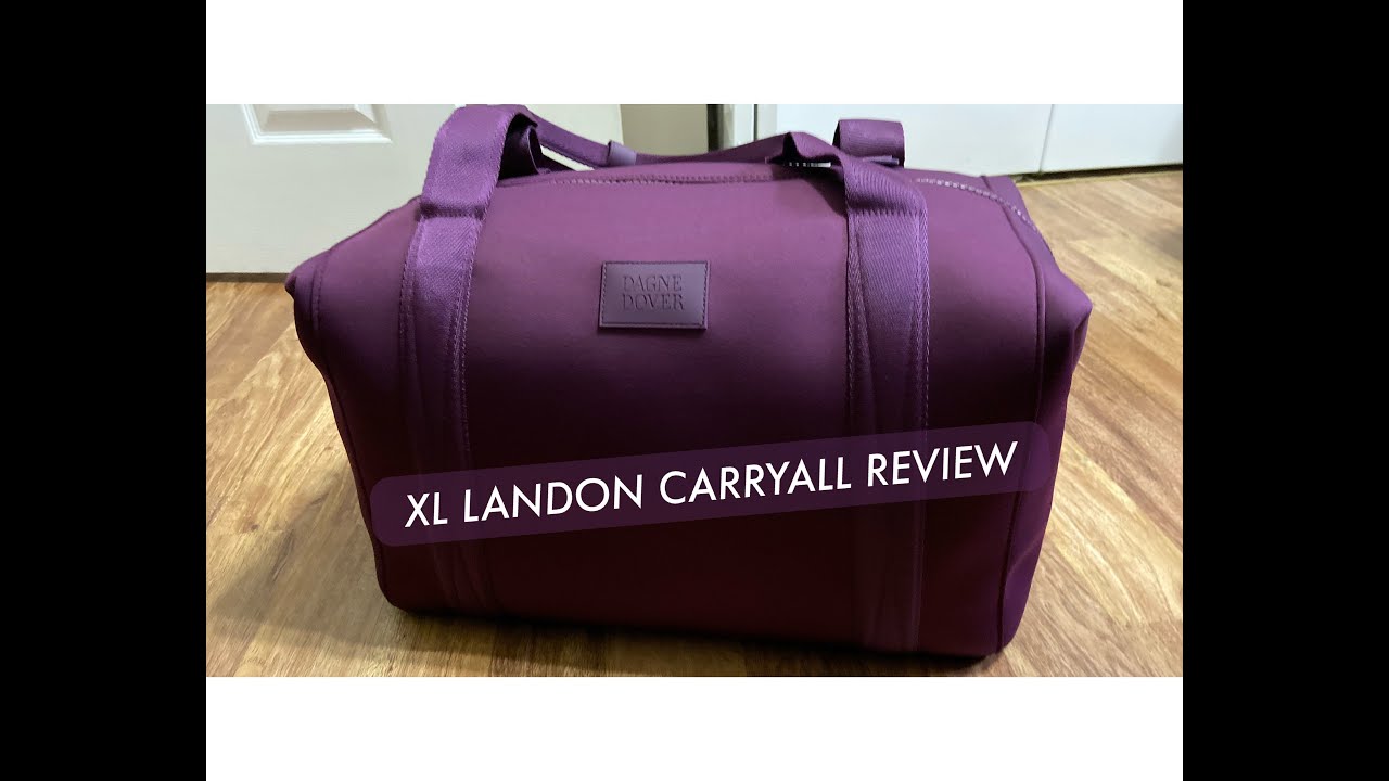 Dagne Dover XL Landon Carryall Review