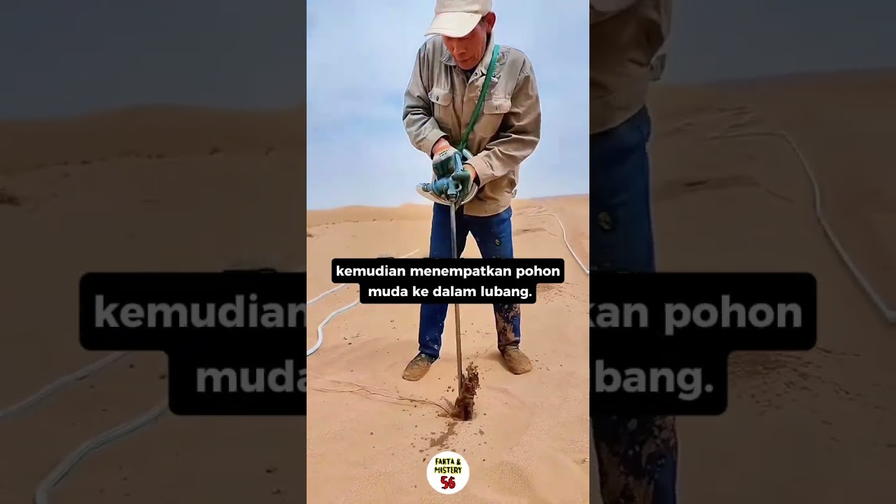 "China Bor Gurun Buat Jadi Hutan?! Fakta Ini Gak Main-main!"