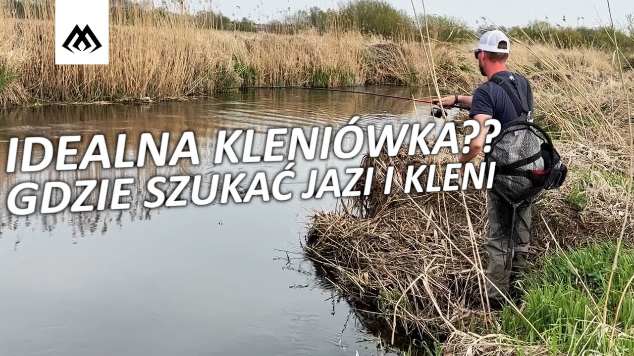 JAK ŁOWIĆ WIOSENNE JAZIE I KLENIE ? GDZIE ICH SZUKAĆ ? IDEALNA WĘDKA DO TEGO TYPU ZADAŃ !
