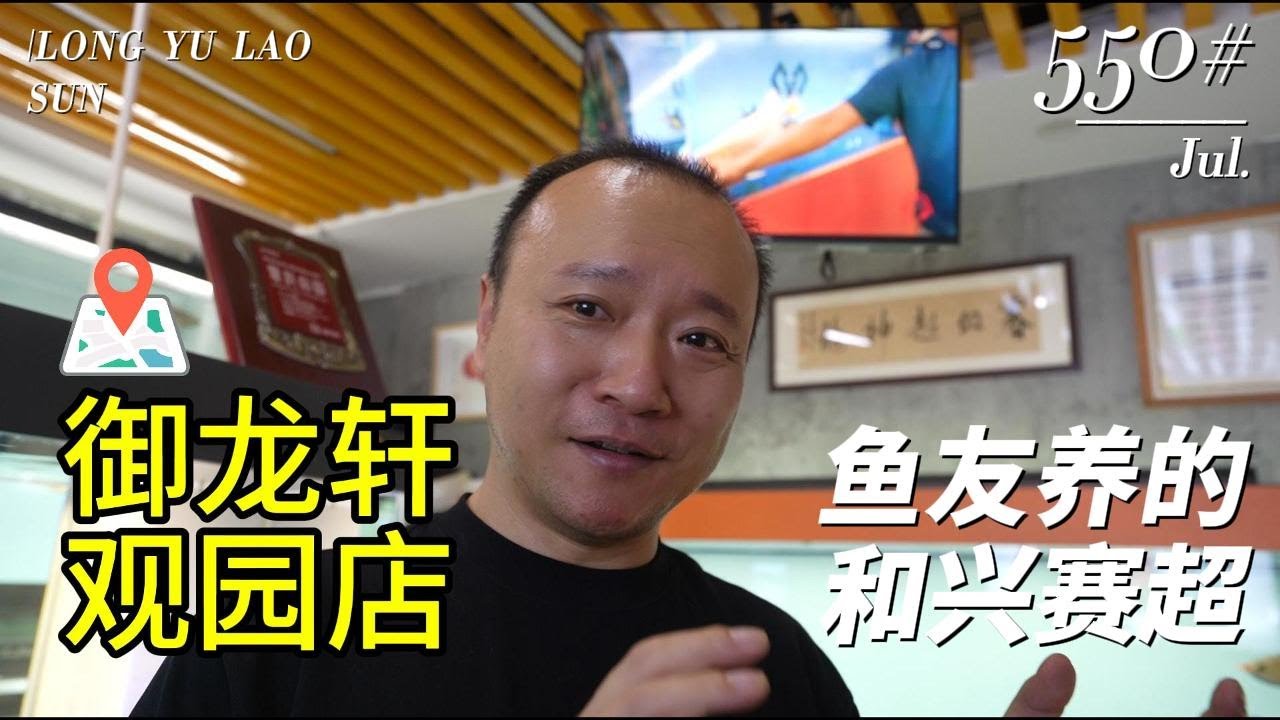 #550 越养越美 第3集 鱼友养了一年的和兴赛超红龙
