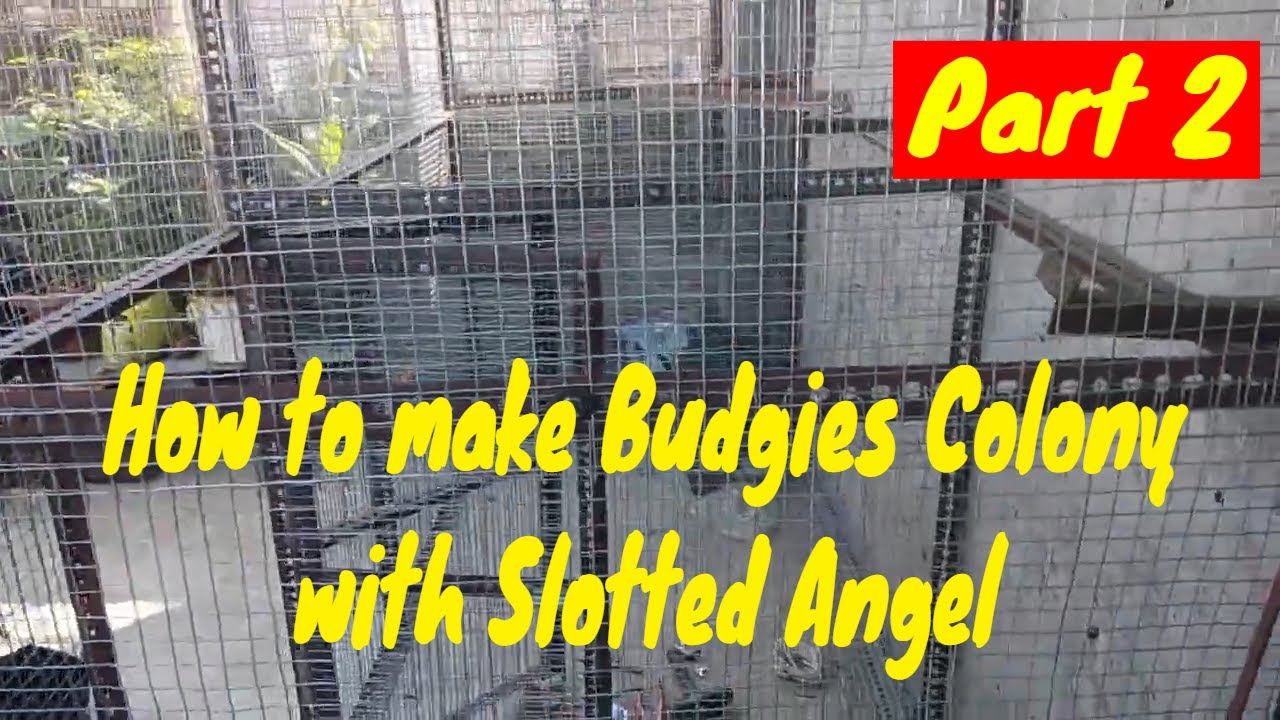 How to make Budgies's colony  Part 2, How to make bird cage, Budgies colony
