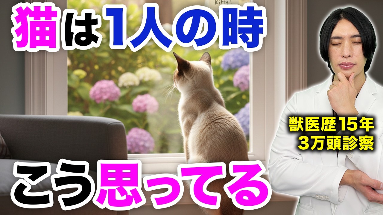 【獣医解説】「寂しいはず」は勘違い？猫が1人で待っている時の5つの本音