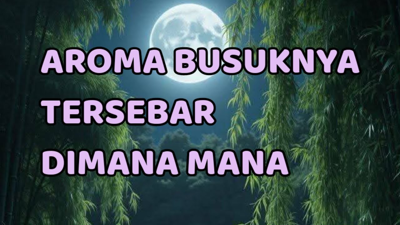 🎆 AROMA BUSUKNYA TERSEBAR DIMANA MANA 🎆