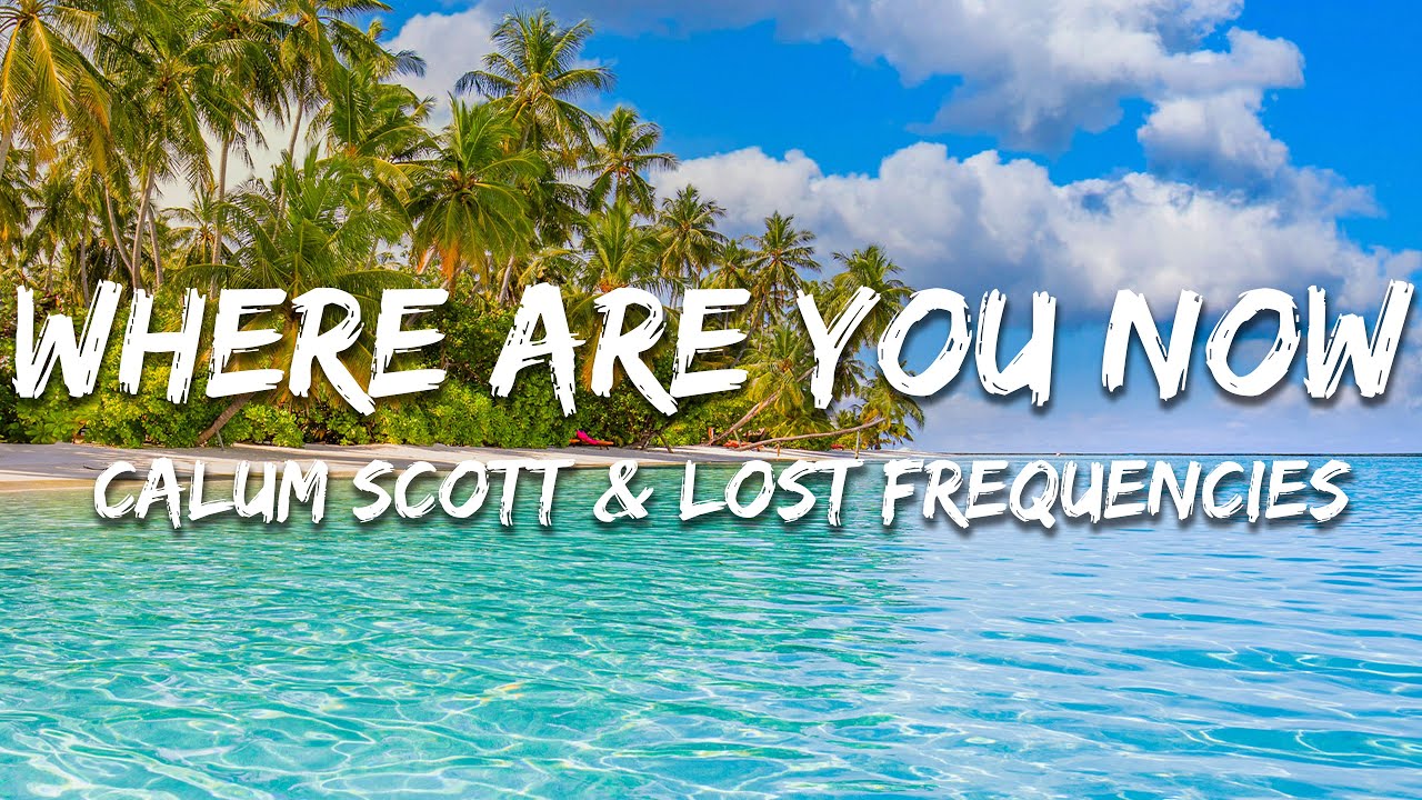 Calum Scott & Lost Frequencies - Where Are You Now (Lyrics)