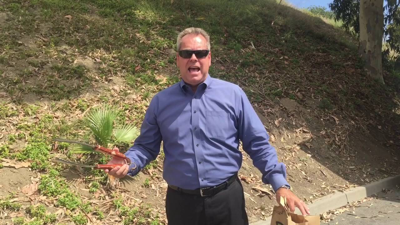 Mission Viejo Dead Bird Pick-Up