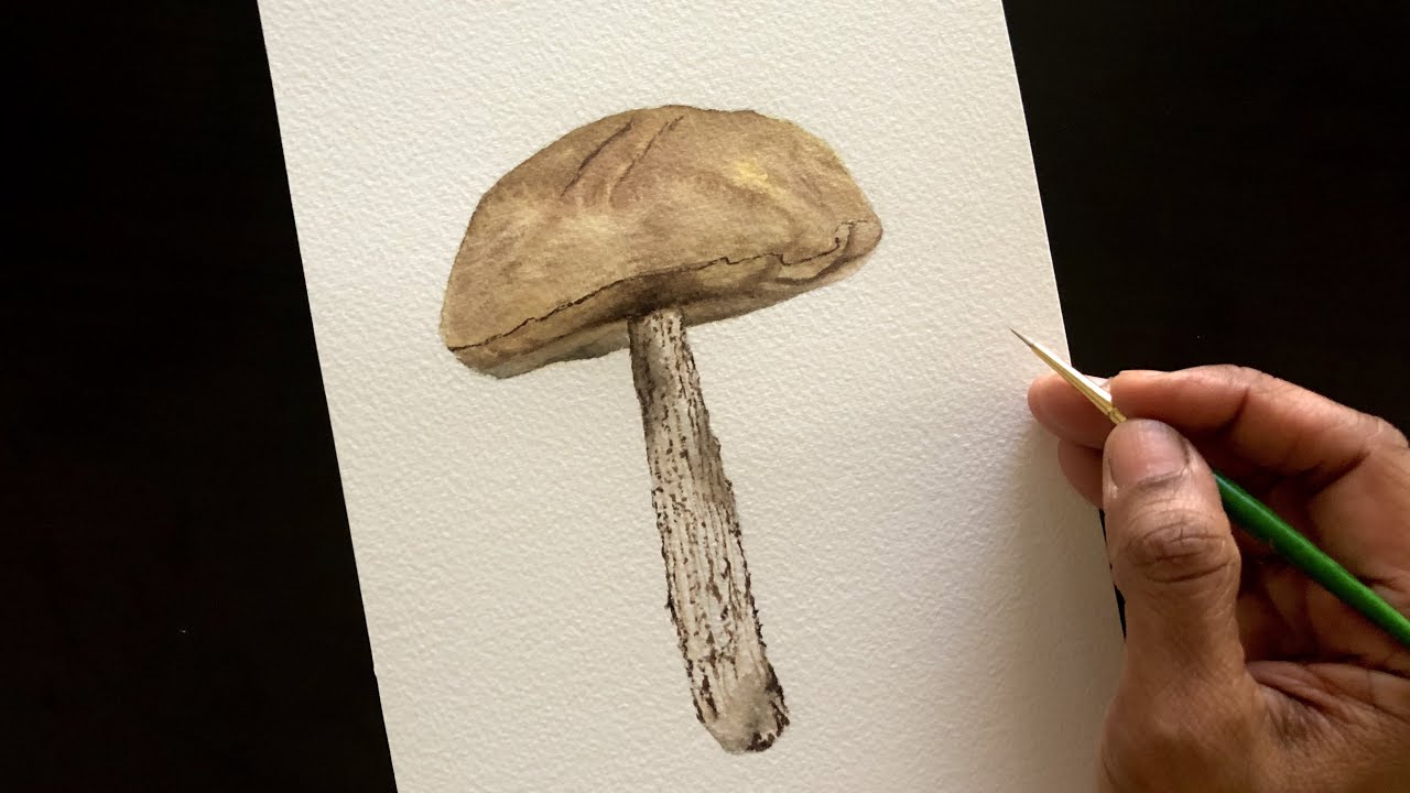 How To Paint A Realistic Mushroom | Step By Step Realistic Watercolor Tutorial For Beginners