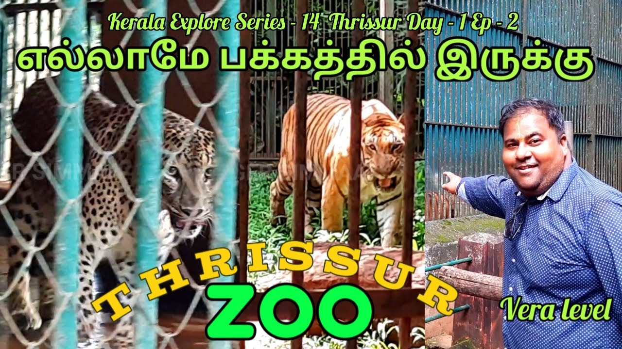 Thrissur Zoo 🐘🐼🐯Kerala  |  Thrissur Zoo Complete Vlog In Tamil | Indian Vlogger Simmaa |