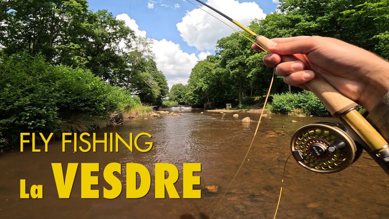 Dry fly or bust with the new 8' #4 Vision OnkII rod - fly fishing at the Vesdre (Belgium, LRPE)