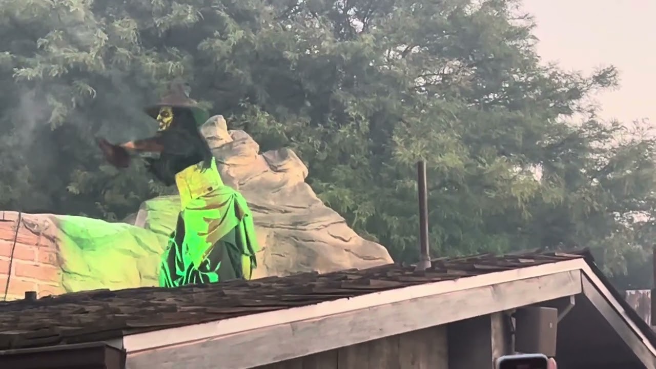 Green witch-Knotts scary farm 2024