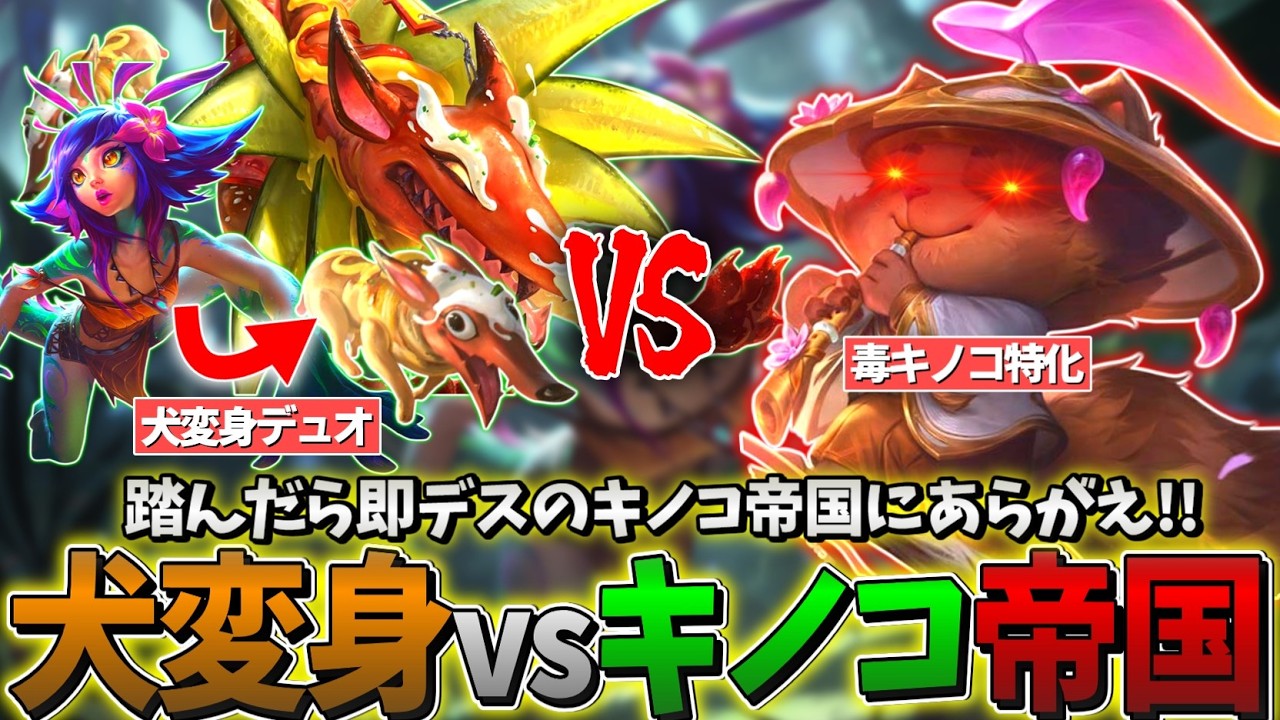 【LOL】犬変身デュオ vs キノコ帝国の王【ナフィーリBOT & ニーコSUP】