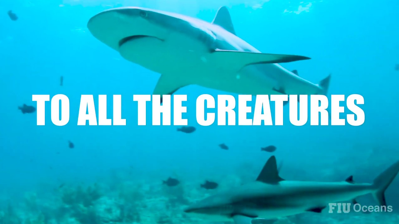 FIU CASE Earth Day 2020