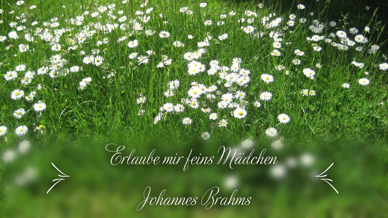 Erlaube mir feins Mädchen - Tenor
