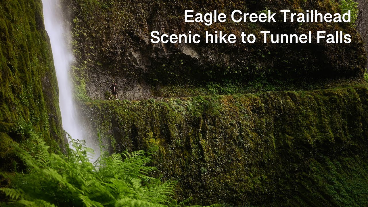 Oregon relaxing hike- Eagle Creek Trailhead to Tunnel Falls