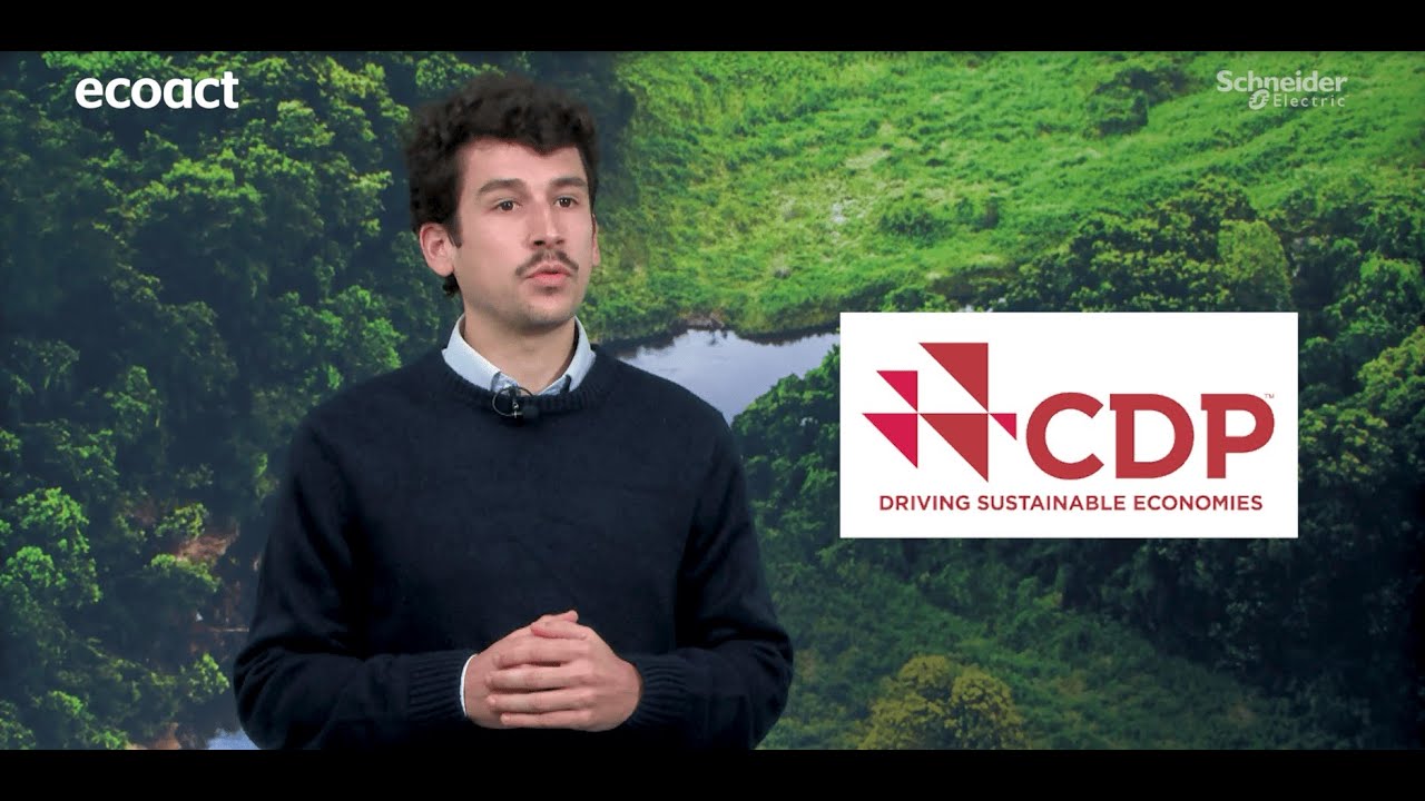 Tout ce qu'il faut savoir sur le CDP en 2025 !