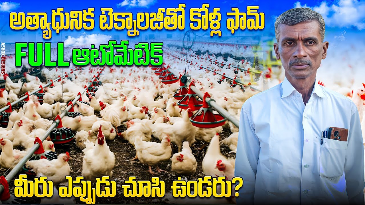 అత్యాధునిక టెక్నాలజీ కోళ్ల ఫర్మ్ || automatic poultry farm || poultryfarming #farming#poultry#telugu