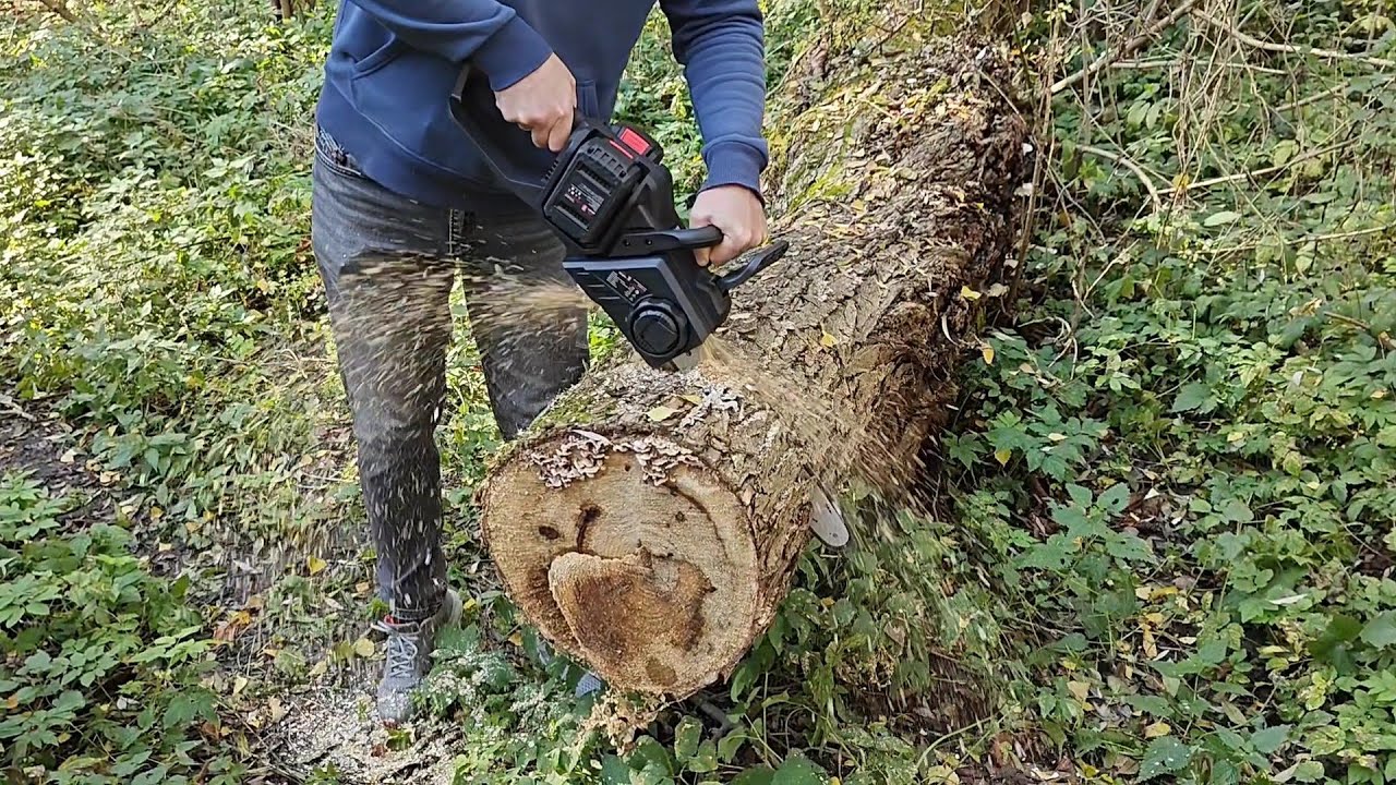 Акумуляторна пила Vitals на 1,5 кВт 36 в. щоб безшумно валити дерева в лісі 💪😜