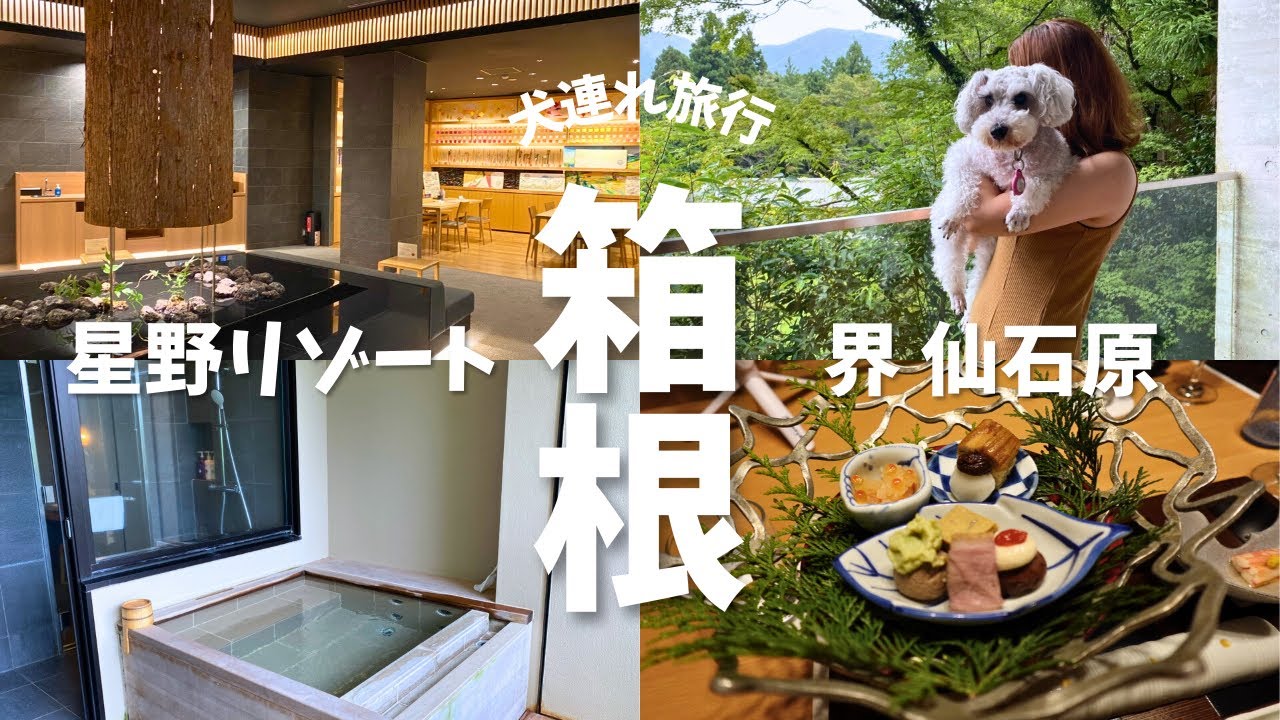 【犬と泊まれる宿】愛犬と箱根の星野リゾートでのんびり旅