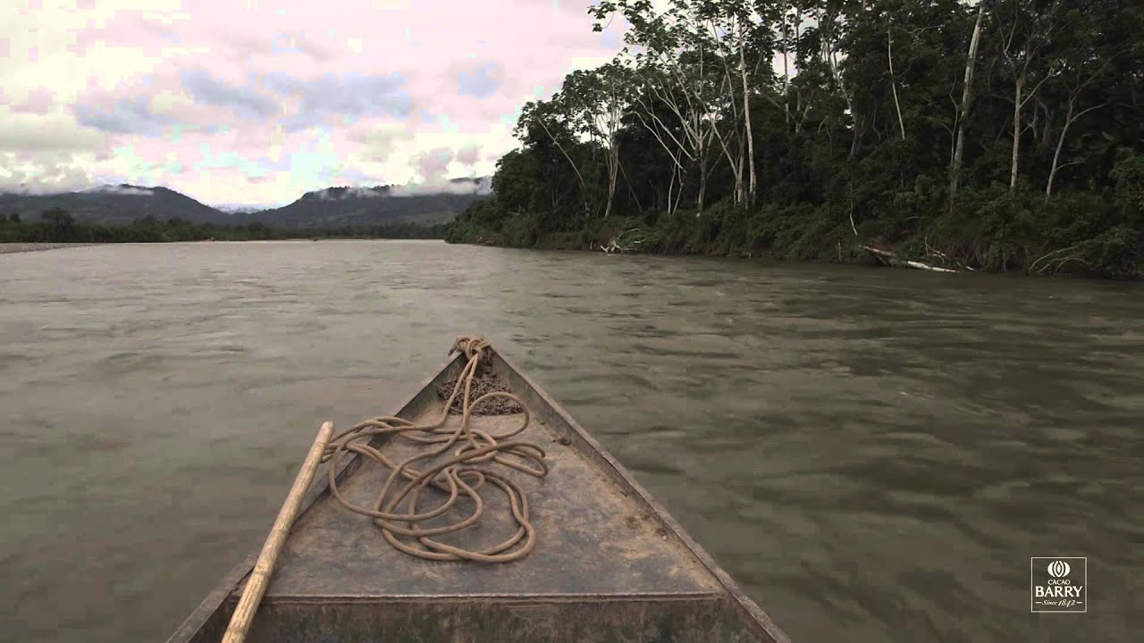 Cocoa Origin | What is chocolate made of?