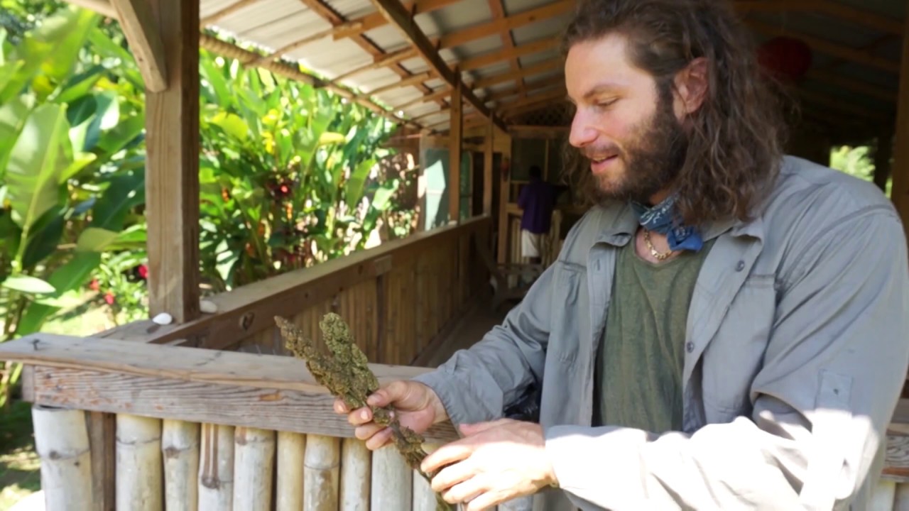 Roll a Jamaican Spliff at Camp Cabarita