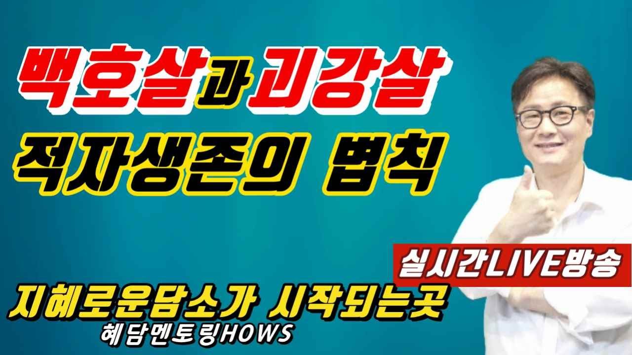 백호살과 괴강살 - 적자생존의 법칙 [LIVE방송] - 혜담멘토링HOWS