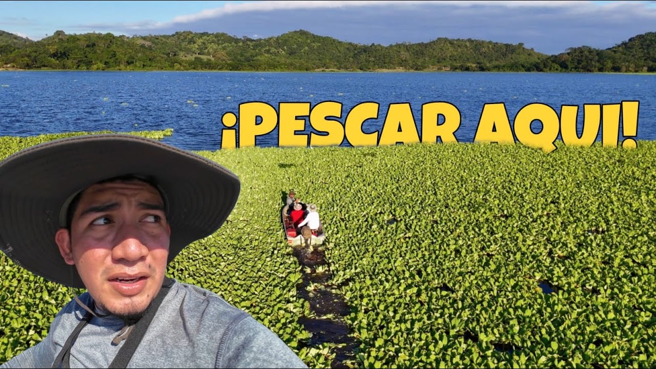 ¡PESCA IMPOSIBLE! Atrapamos algo INCREÍBLE en una laguna CONGELADA de plantas